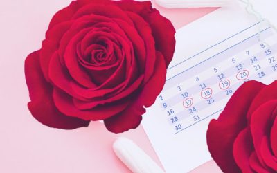 Podcast episode – have a listen!